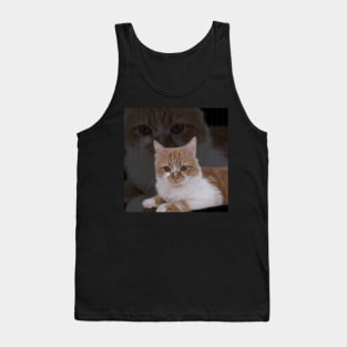 Dramatic Cute Cat Photography Tank Top